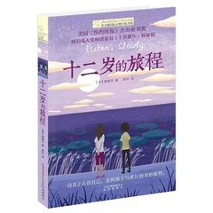深入了解 大象电脑网页版